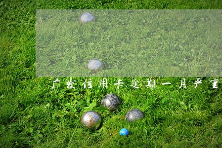 广发信用卡逾期一月严重吗