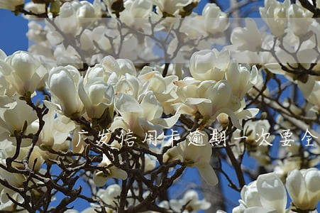 广发信用卡逾期一次要全额 广发信用卡逾期一次要全额