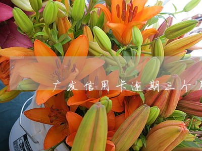 广发信用卡逾期三个月怎么协商 广发信用卡逾期三个月怎么协商