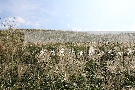 广发信用卡逾期三天会扣违约金