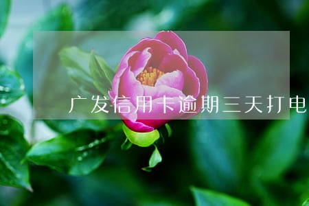 广发信用卡逾期三天打电话来了 广发信用卡逾期三天打电话来了