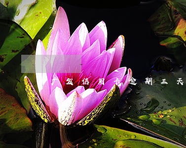 广发信用卡逾期三天的利息 广发信用卡逾期三天的利息