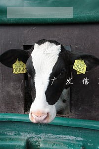 广发信用卡逾期三天罚金20元 广发信用卡逾期三天罚金20元