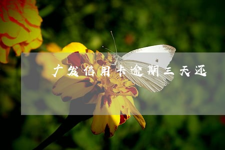 广发信用卡逾期三天还 广发信用卡逾期三天还