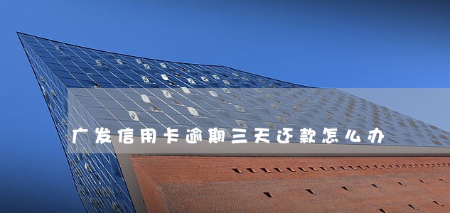 广发信用卡逾期三天还款怎么办 广发信用卡逾期三天还款怎么办