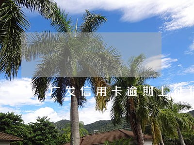 广发信用卡逾期上征信 广发信用卡逾期上征信