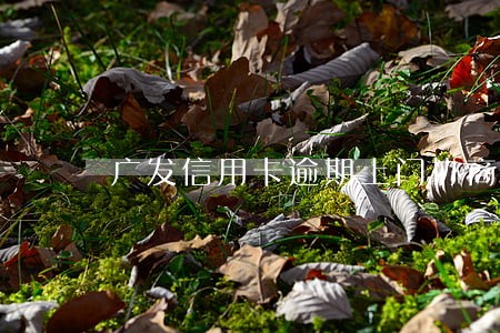 广发信用卡逾期上门协商标准 广发信用卡逾期上门协商标准