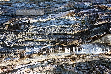 广发信用卡逾期上门签协议