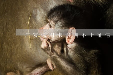 广发信用卡逾期不上征信