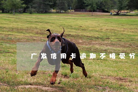 广发信用卡逾期不接受分期