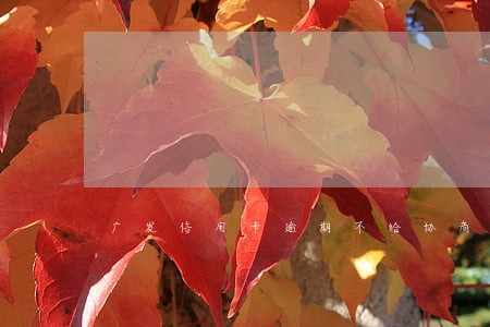 广发信用卡逾期不给协商怎么投诉 广发信用卡逾期不给协商怎么投诉