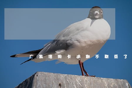 广发信用卡逾期不联系了