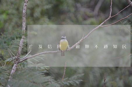广发信用卡逾期不通知民生
