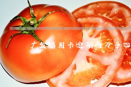 广发信用卡逾期两万多四个月 广发信用卡逾期两万多四个月