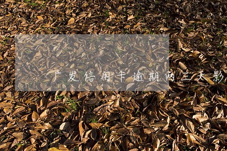 广发信用卡逾期两三天影响征信吗
