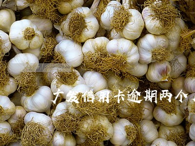 广发信用卡逾期两个月封卡 广发信用卡逾期两个月封卡