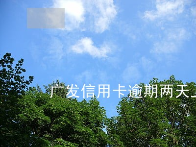 广发信用卡逾期两天上