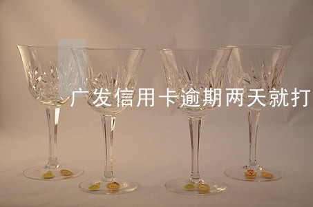 广发信用卡逾期两天就打电话