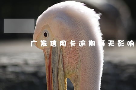 广发信用卡逾期两天影响征信吗