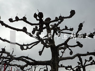 广发信用卡逾期两天有违约金