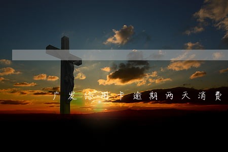 广发信用卡逾期两天消费利息