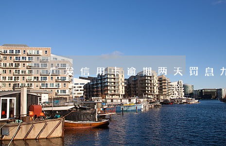 广发信用卡逾期两天罚息九百