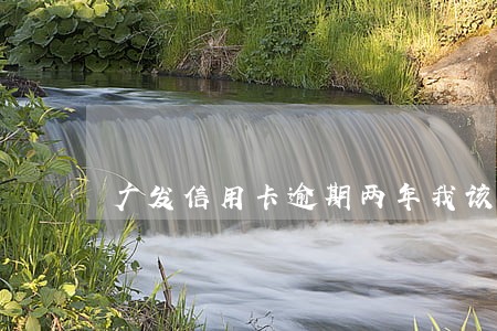 广发信用卡逾期两年我该怎么办 广发信用卡逾期两年我该怎么办