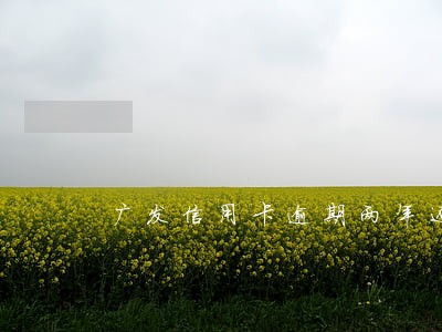 广发信用卡逾期两年还款还能用吗 广发信用卡逾期两年还款还能用吗