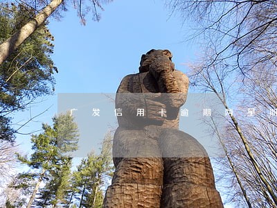 广发信用卡逾期两星期
