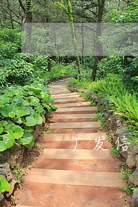 广发信用卡逾期严重不