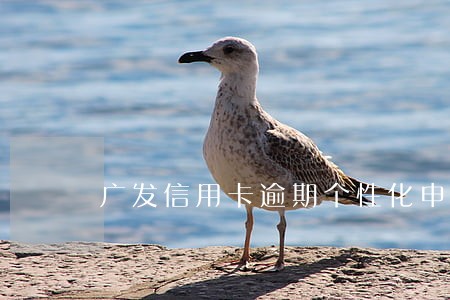 广发信用卡逾期个性化申请书 广发信用卡逾期个性化申请书