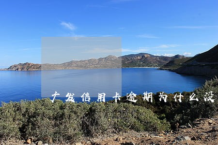 广发信用卡逾期为什么没人找 广发信用卡逾期为什么没人找