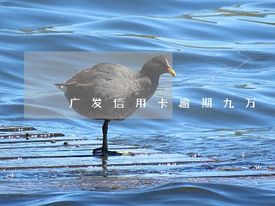 广发信用卡逾期九万 广发信用卡逾期九万