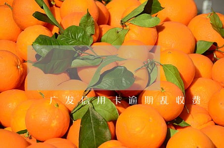 广发信用卡逾期乱收费 广发信用卡逾期乱收费