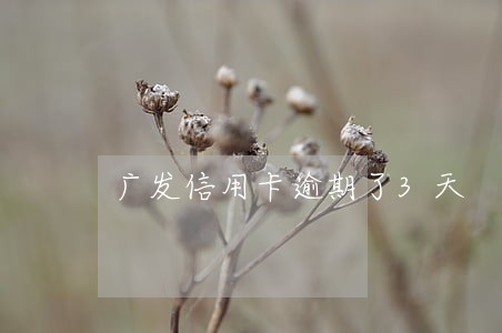 广发信用卡逾期了3天 广发信用卡逾期了3天