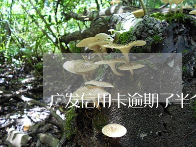 广发信用卡逾期了半个月了怎么办
