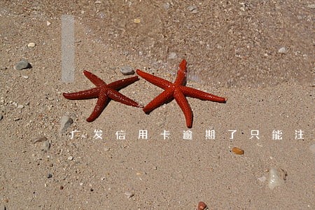 广发信用卡逾期了只能注销吗 广发信用卡逾期了只能注销吗