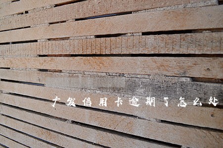 广发信用卡逾期了怎么处理 广发信用卡逾期了怎么处理