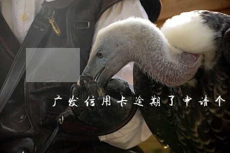 广发信用卡逾期了申请个性化分期 广发信用卡逾期了申请个性化分期