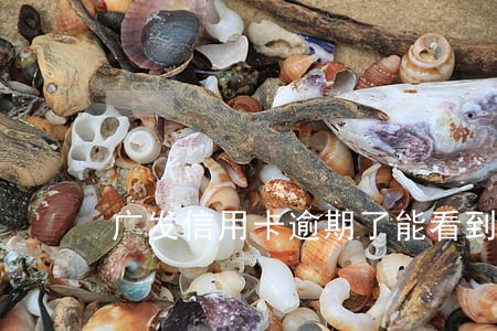 广发信用卡逾期了能看到吗