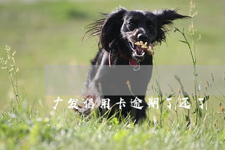 广发信用卡逾期了还了