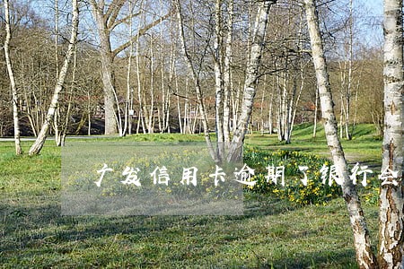 广发信用卡逾期了银行会怎样处理 广发信用卡逾期了银行会怎样处理