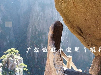 广发信用卡逾期了银行核实信息