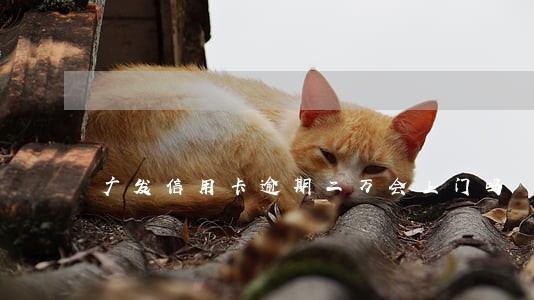 广发信用卡逾期二万会上门吗 广发信用卡逾期二万会上门吗