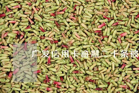 广发信用卡逾期二十条被关闭还款 广发信用卡逾期二十条被关闭还款