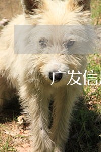 广发信用卡逾期五个月全额还款