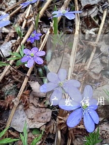广发信用卡逾期五六万 广发信用卡逾期五六万