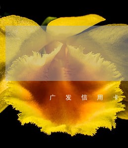 广发信用卡逾期五天会有滞纳金吗 广发信用卡逾期五天会有滞纳金吗