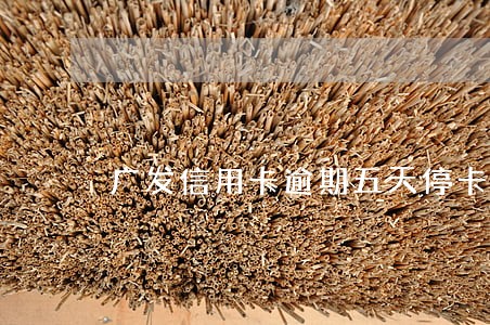 广发信用卡逾期五天停卡 广发信用卡逾期五天停卡