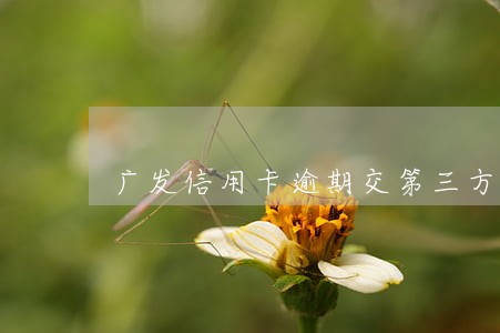 广发信用卡逾期交第三方处理 广发信用卡逾期交第三方处理